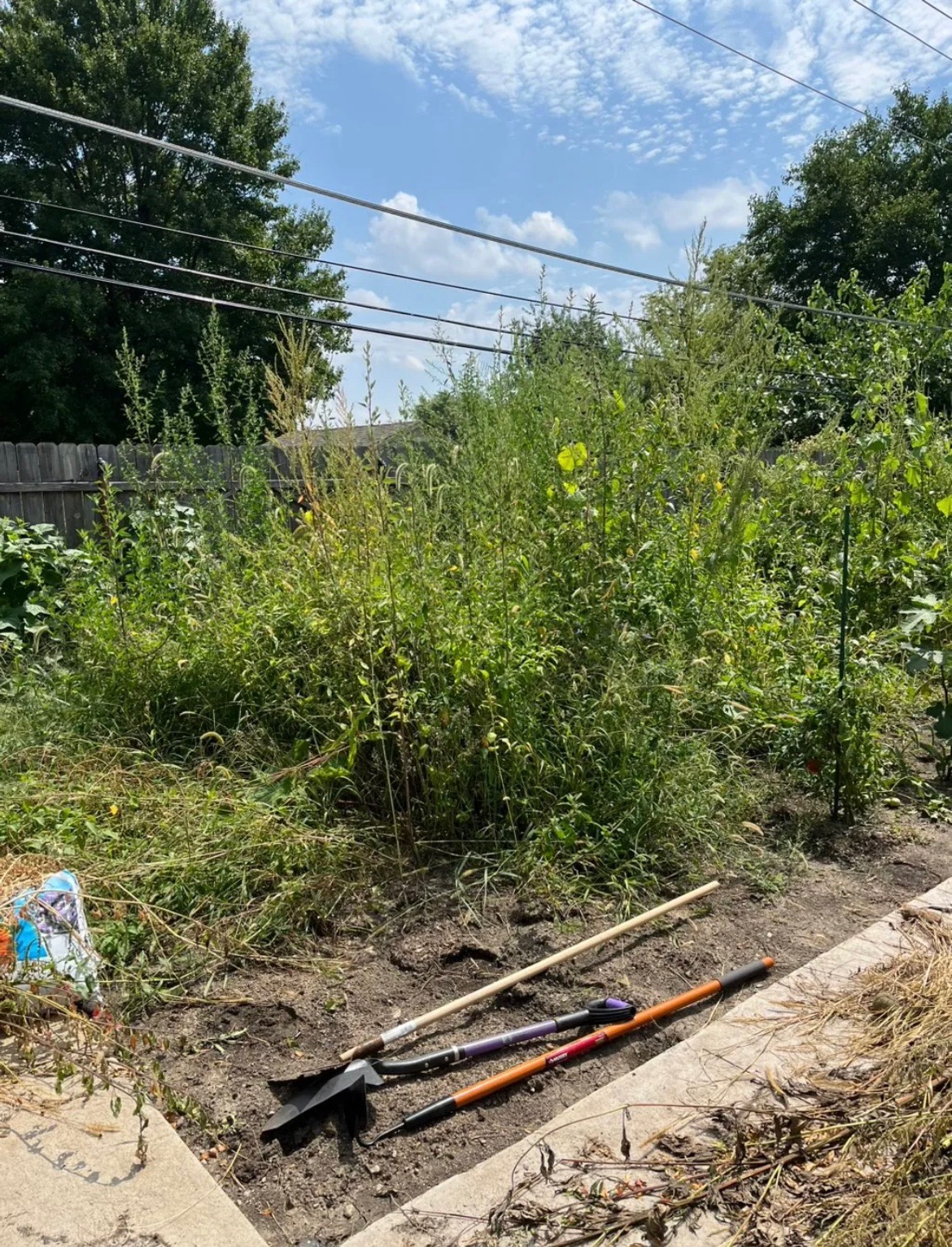 Yard cleanup in the Chicago suburbs — before, yard covered in branches and debris